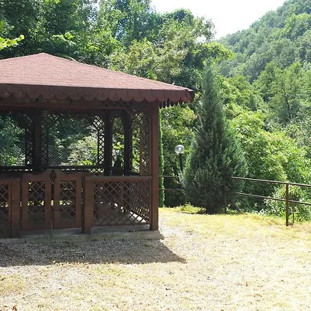 Tisa