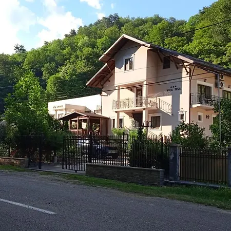 Hotel Tisa 3*